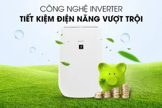 6 Ưu điểm không thể bỏ lỡ của máy lọc không khí