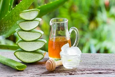 Nhớ ngay 3 bài thuốc dân gian chữa dạ dày cực hiệu quả tại nhà
