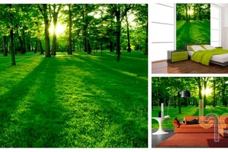 Bí kíp hô biến những bức tường cũ trở nên sinh động hơn