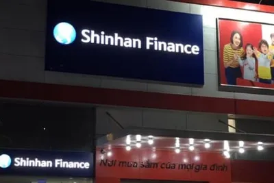 Decal 3M có thể kể câu chuyện thương hiệu của bạn như thế nào?