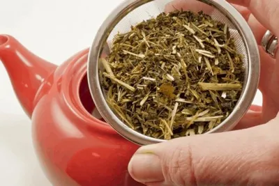 4 loại thảo dược trị mất ngủ cho người già bạn đã biết chưa?