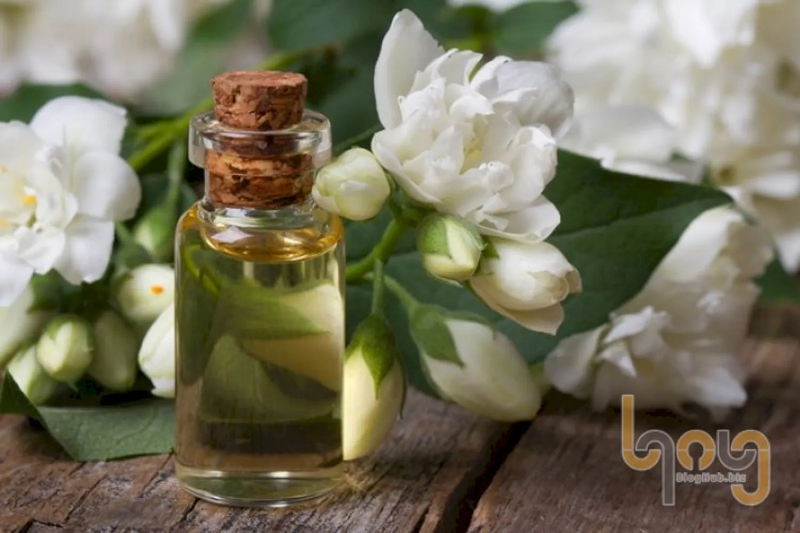 Mẹo khử mùi hôi nhà bếp bằng tinh dầu