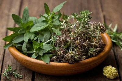 Lợi ích của việc sử dụng thảo dược trong chăm sóc sức khỏe