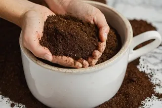 Tẩy tế bào chết từ cà phê đơn giản tại nhà