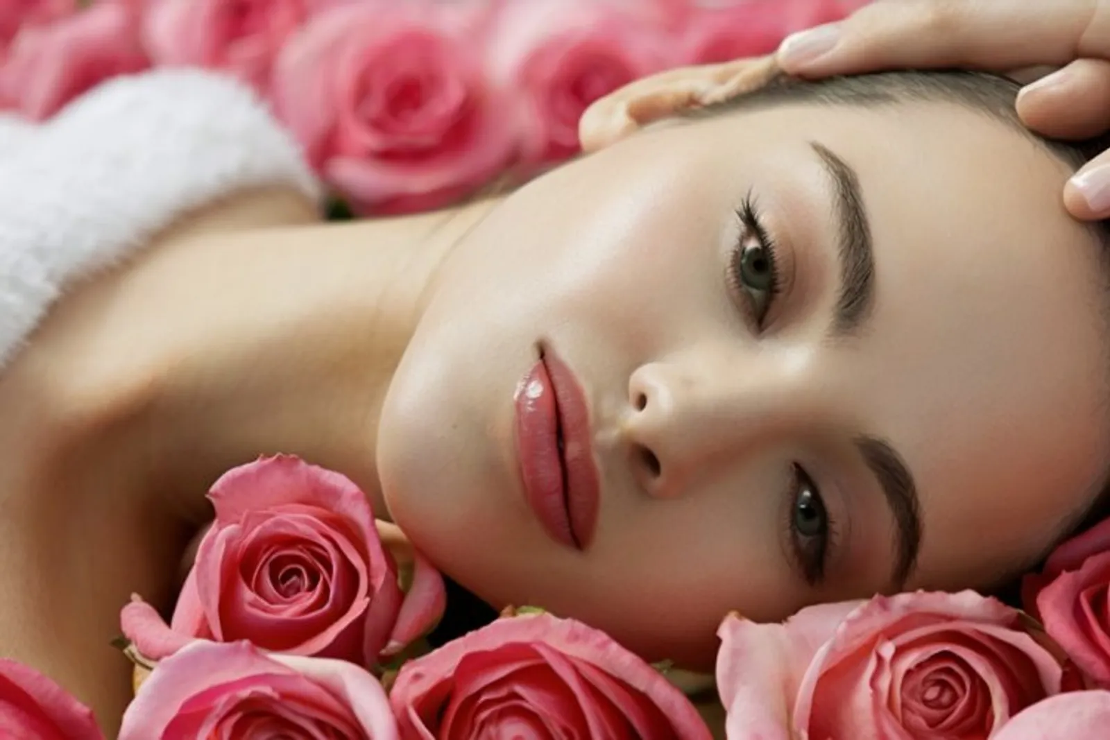 Làm đẹp với hoa hồng: Bí quyết tự nhiên cho làn da mềm mại