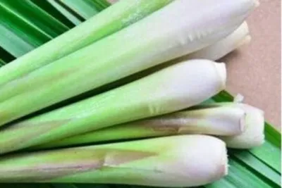 Thổi bay cảm lạnh bằng lá sả – Dễ làm, ai cũng làm được!