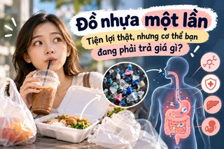 Thói quen dùng đồ nhựa một lần đang đầu độc cơ thể thế nào?